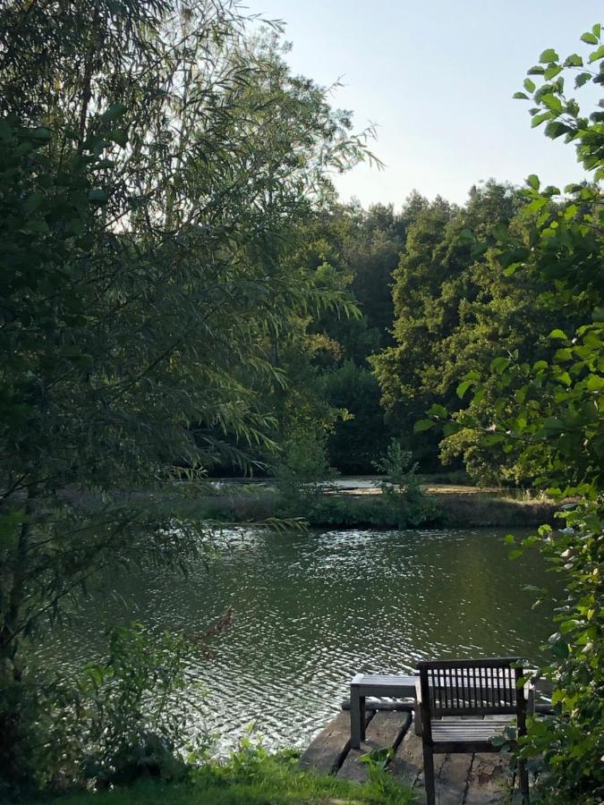 La Francoisiere Bed and Breakfast Loigné-sur-Mayenne Εξωτερικό φωτογραφία