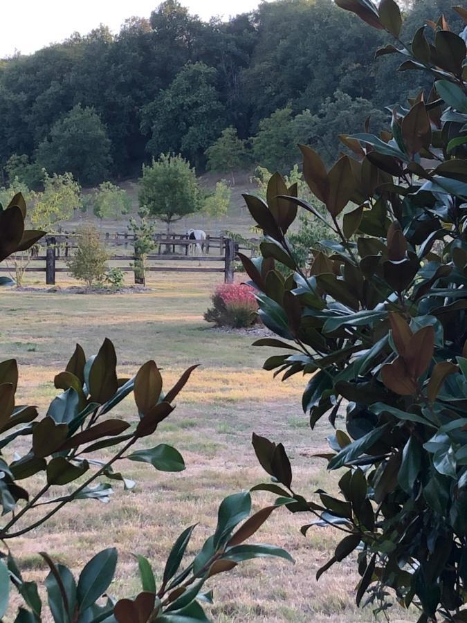 La Francoisiere Bed and Breakfast Loigné-sur-Mayenne Εξωτερικό φωτογραφία