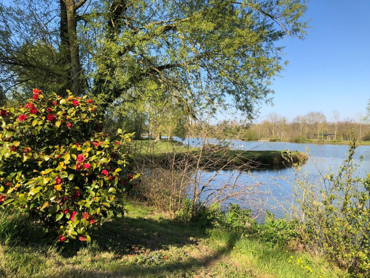 La Francoisiere Bed and Breakfast Loigné-sur-Mayenne Εξωτερικό φωτογραφία