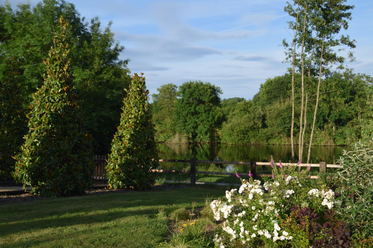 La Francoisiere Bed and Breakfast Loigné-sur-Mayenne Εξωτερικό φωτογραφία